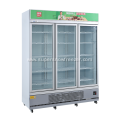 Commercial Fan Cooling Vertical Glass Door Display Freezer